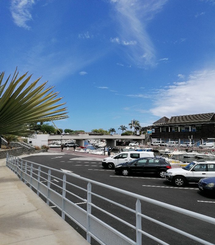 Pêche à la traîne en mer