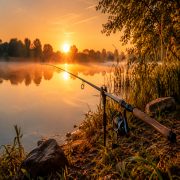 Canne à pêche posée au bord d'un lac calme au lever du soleil pour débuter la pêchepng